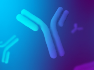 test-de-anticuerpos-mx